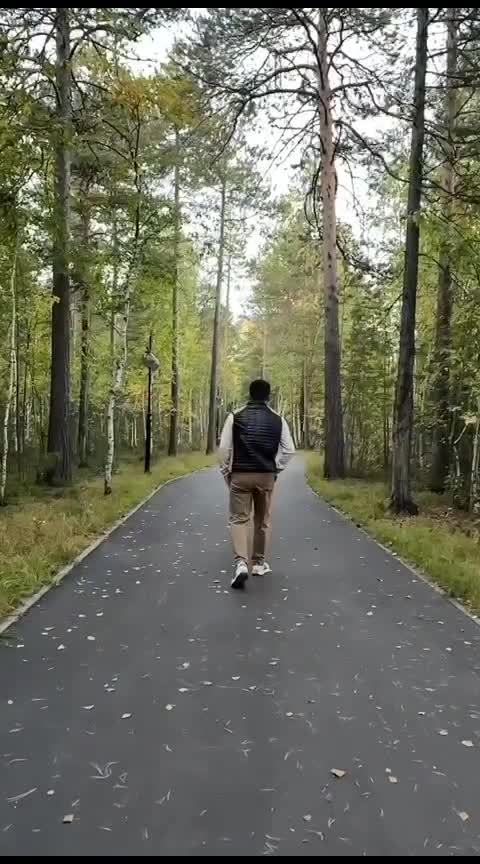 кот леопольд живите дружно. давайте жить дружно и уважать друг друга. ребята давайте жить дружно. давайте жить дружно! кот леопольд. кот леопольд из мультика давайте жить дружно.