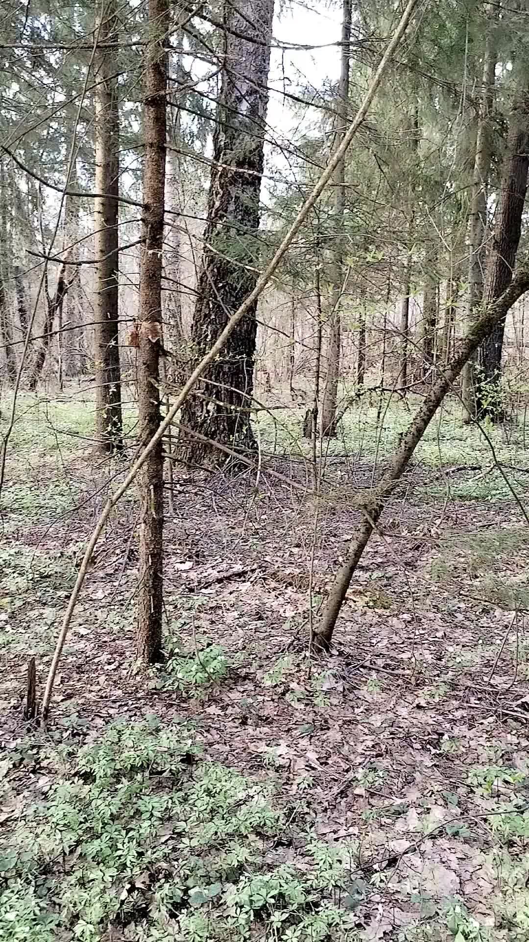 Живи legko. ❤💕💘 Мой дом, моя дача, моя жизнь. Все просто и понятно. 💕 |  @ | Дзен