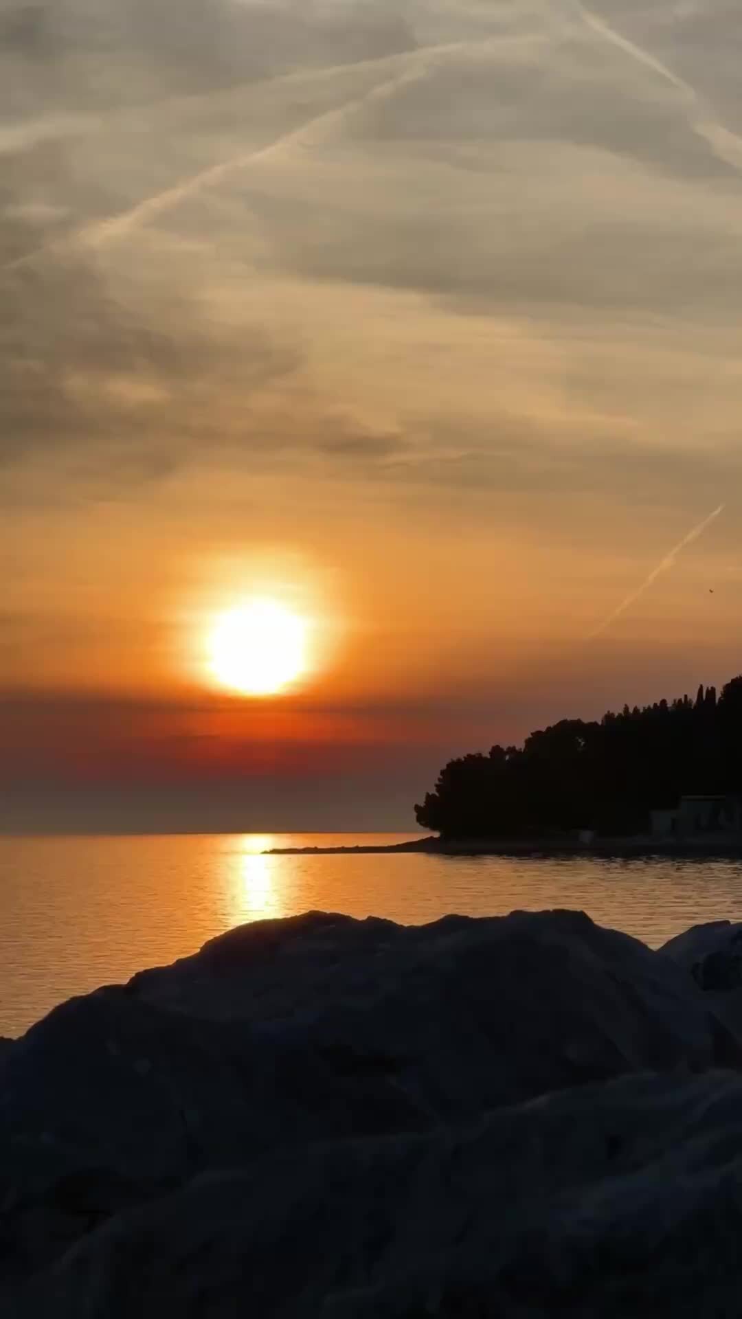 Матерные стихи есенина. Люблю я баб на свежем сене. Любите баб на свежем сене писал поэт сергей есенин. Есенин с. Стихи про сенокос.