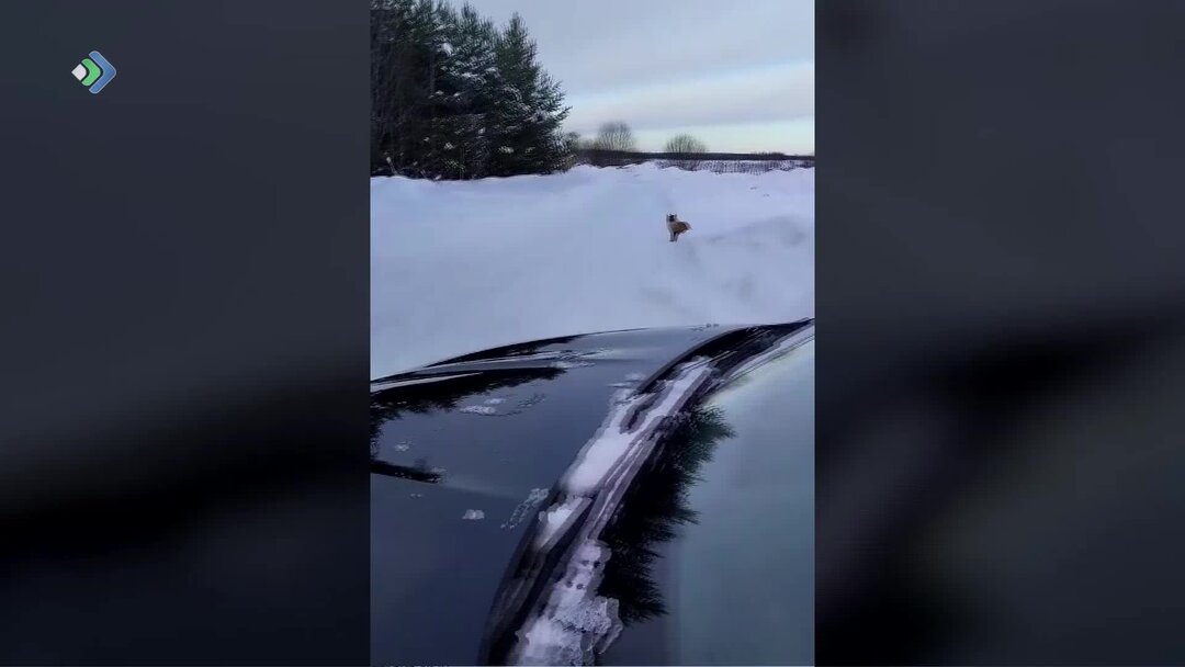 запиши названия весенних месяцев. месяц связанный с трудом людей. название зимних месяцев в языках народов твоего края. запиши названия весенних месяцев в языке народов. название месяцев с явлением неживой природы.