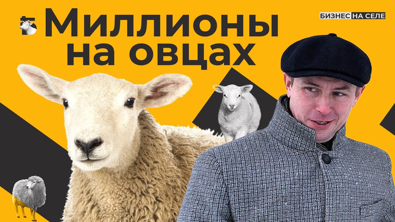 Так случилось но сегодня я в ноль. Так случилось но сегодня я в ноль