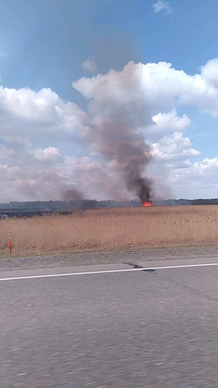 аккорды к песням под гитару. посреди огня аккорды. аккорды. аккорды к песням. костёр машина времени текст.