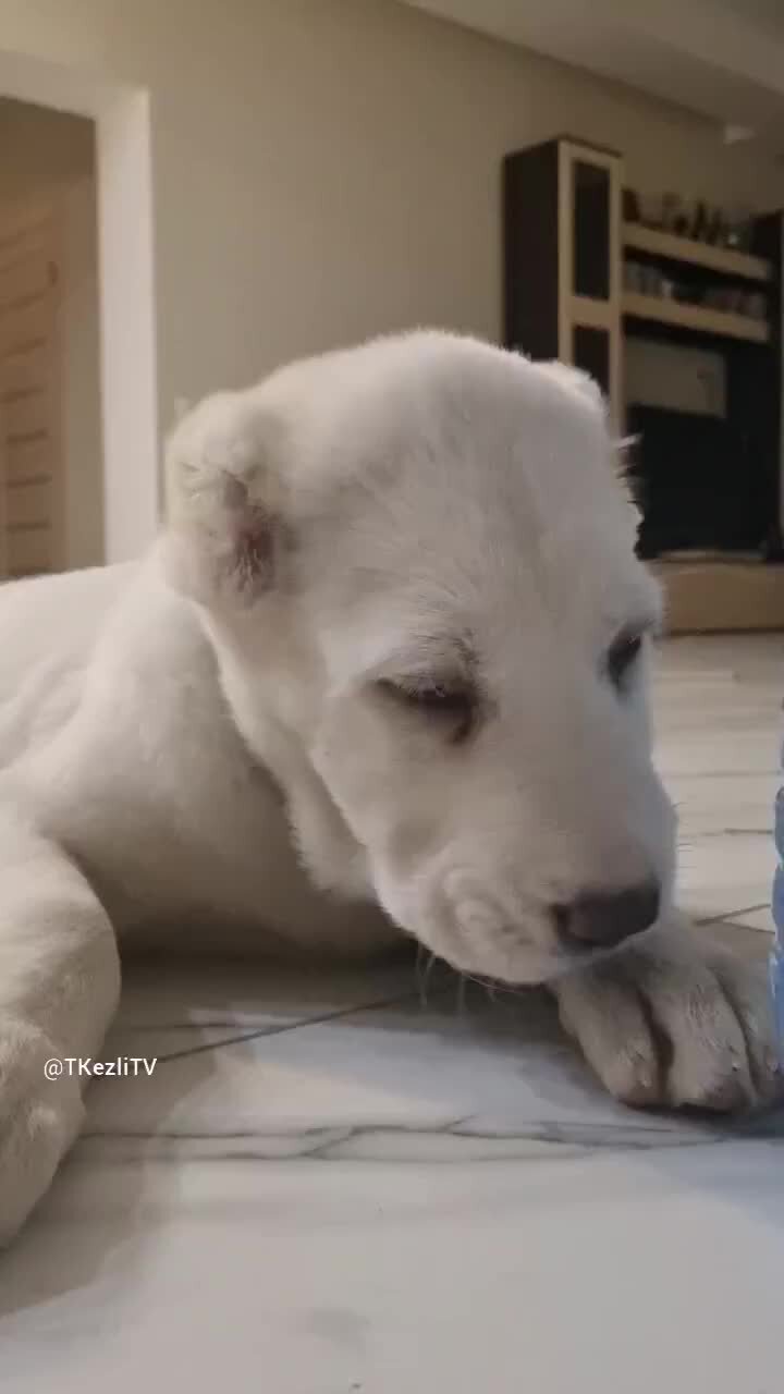 сон при беременности.