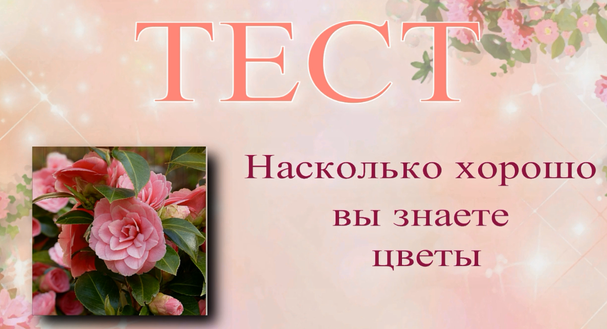 цветовой тест макса люшера. тест на знания цветов цвета. тест на видение оттенков цвета. тест на знания цветов цвета. тест на оттенки цветов.