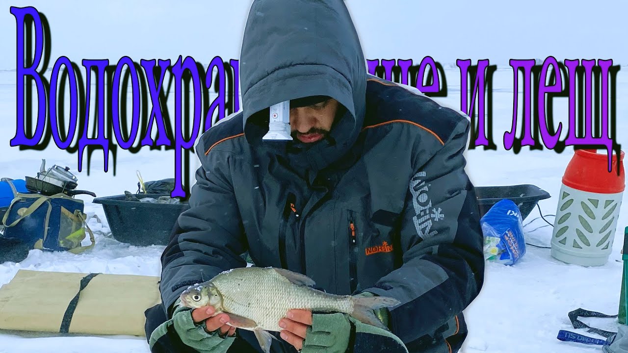 Ловля леща на водохранилище. Ленивая рыбалка. Вазузское водохранилище зимняя рыбалка. Вячеславское водохранилище. Чем кормить леща зимой на водохранилище.