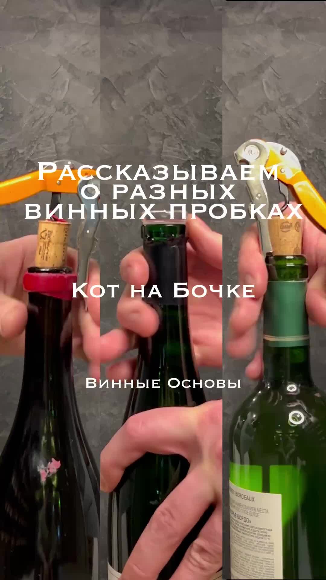 рассказывает про вино