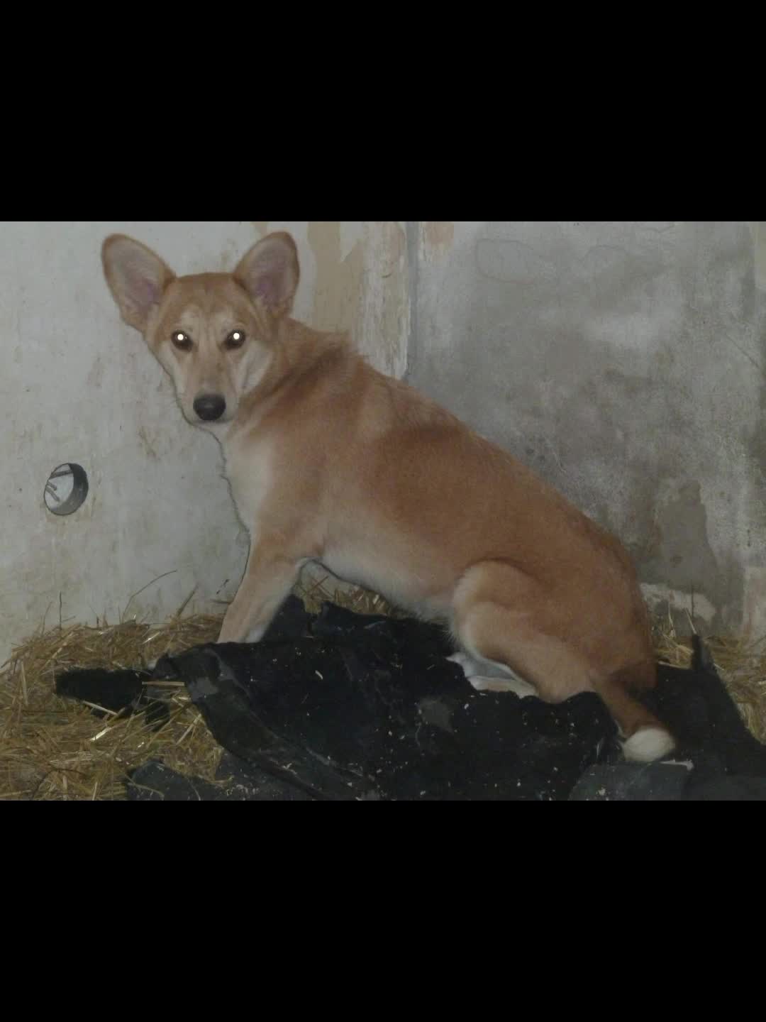 Высказывания про болезнь. Что бывает приятным. Весенний мотиватор. Пусть бодрым будет rf;lsq день. Счастливая девушка.