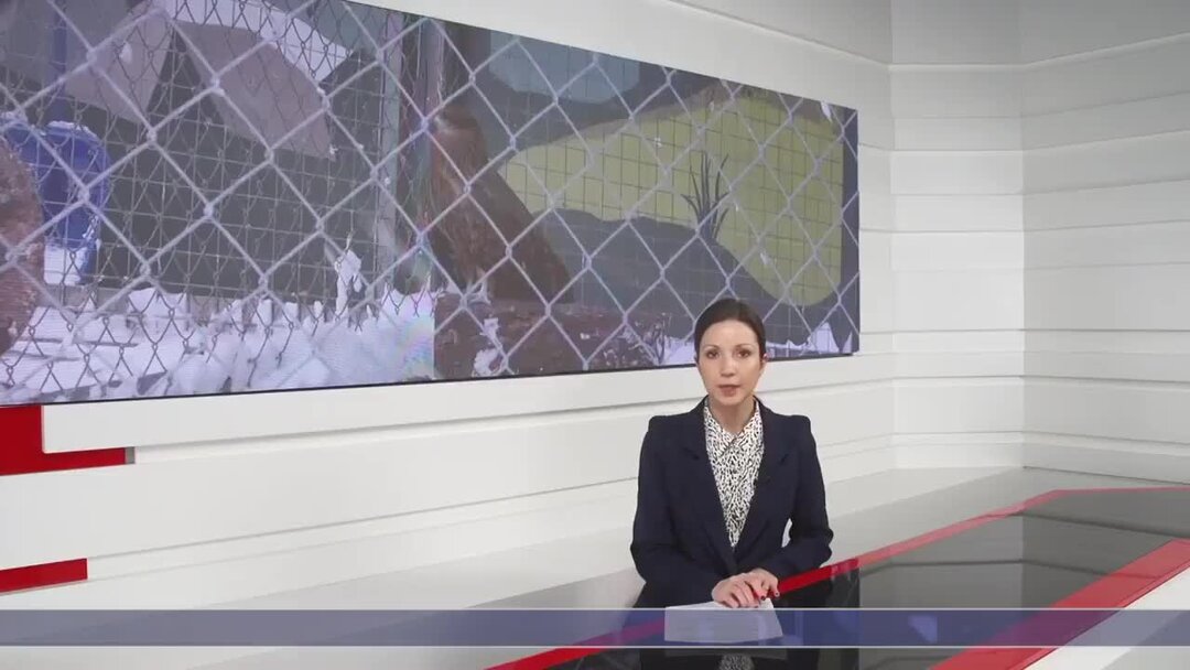 южный новый год. поздравление с новым годом 2024 сахалин. сахалинский лед 2021 фото. новогодняя ночь фото сахалин. фестиваль зимней рыбалки «сахалинский лёд».