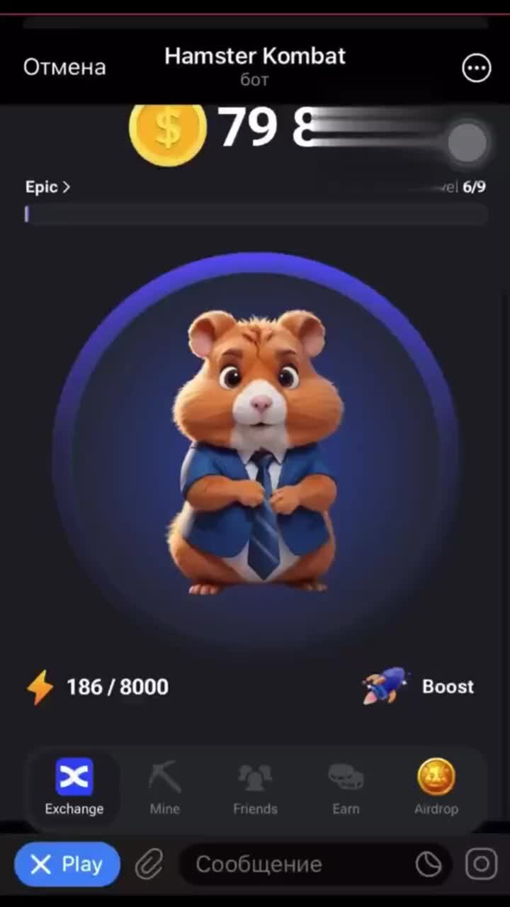 Hamster kombat комбо 21 22 августа