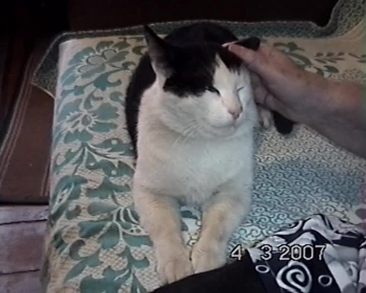 сайт 4 осиповичи