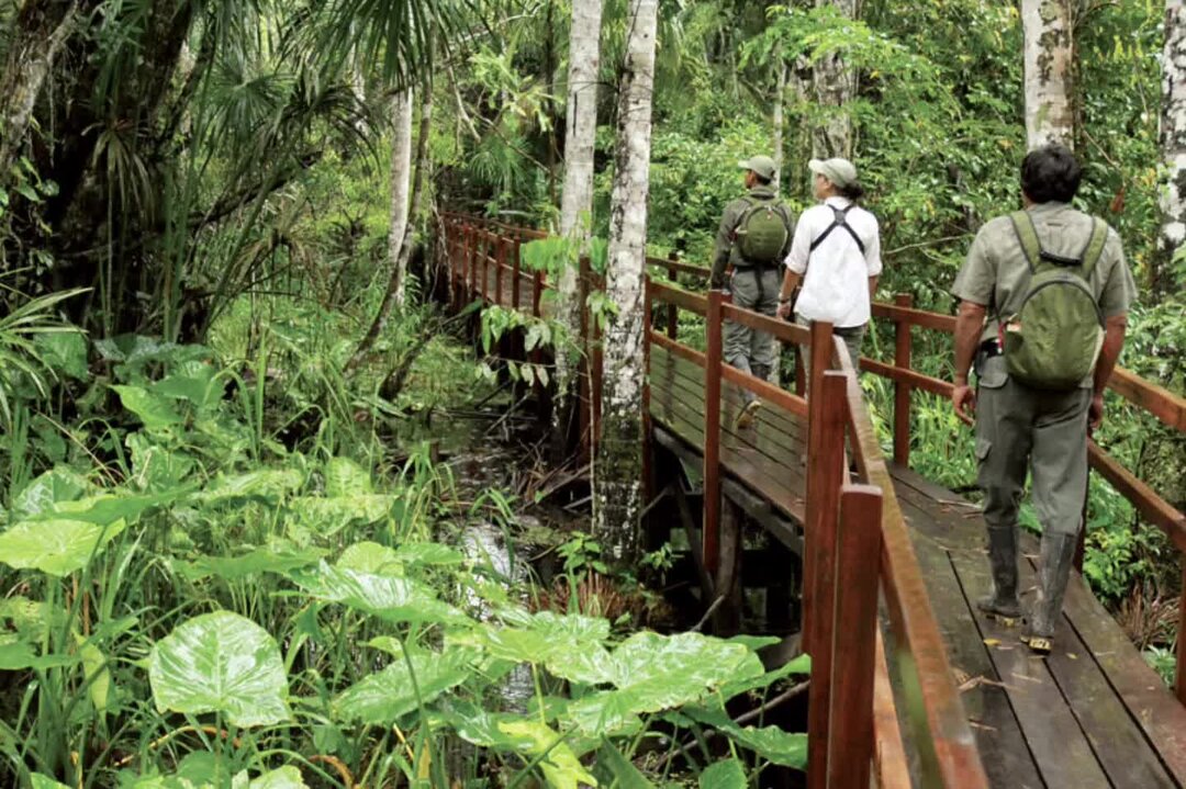 Анализ развития экологического туризма в мире. Анализ экотуризма в РК