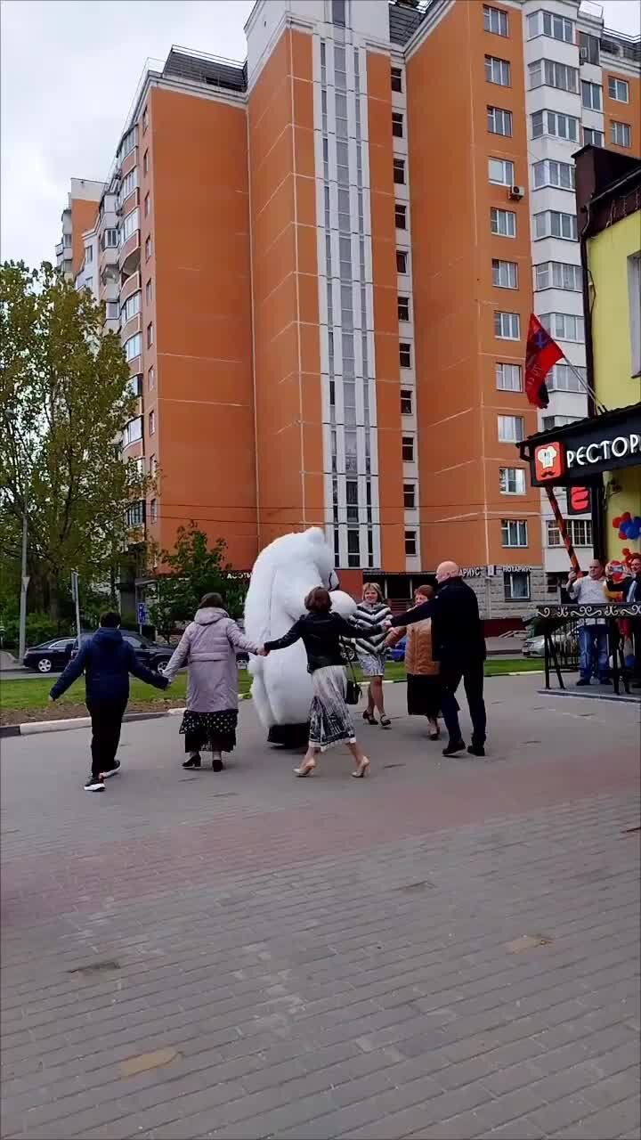 Bear Show - Поздравление белого мишки в Москве | Белый медведь на День  Рождения. Заказать поздравление мишки можно: 🔶 В WhatsApp или Telegram +7  (925) 534 4080 🔶 В Директ 🔶 По телефону +7 (925) 534 4080  https://bear-show.ru | Дзен