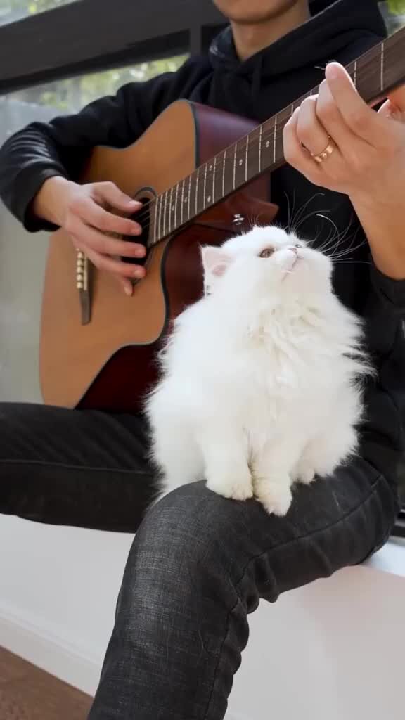 изображение женщины с мелодией. солнце радость. сделай мне музыку. девушка с гитарой картинки. сделай мне музыку.