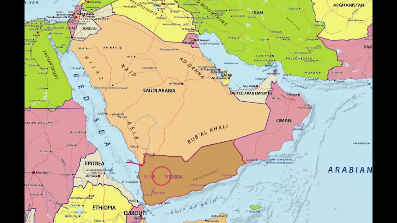Ответ от специалиста. Ответ эксперта. Студенты разных специальностей. Мотивированные заключения эксперта. Человечки для презентации.