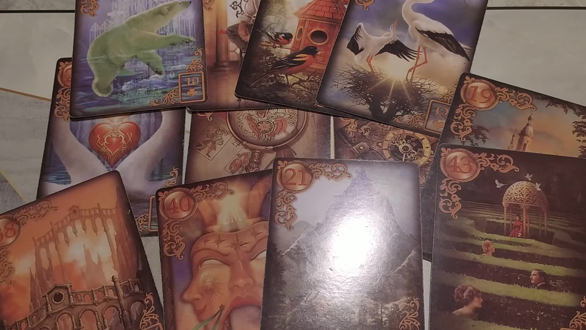 таро белый кот. таро белых кошек король пентаклей. таро белый кот. таро белых котов колода. таро белых кошек уэйта.