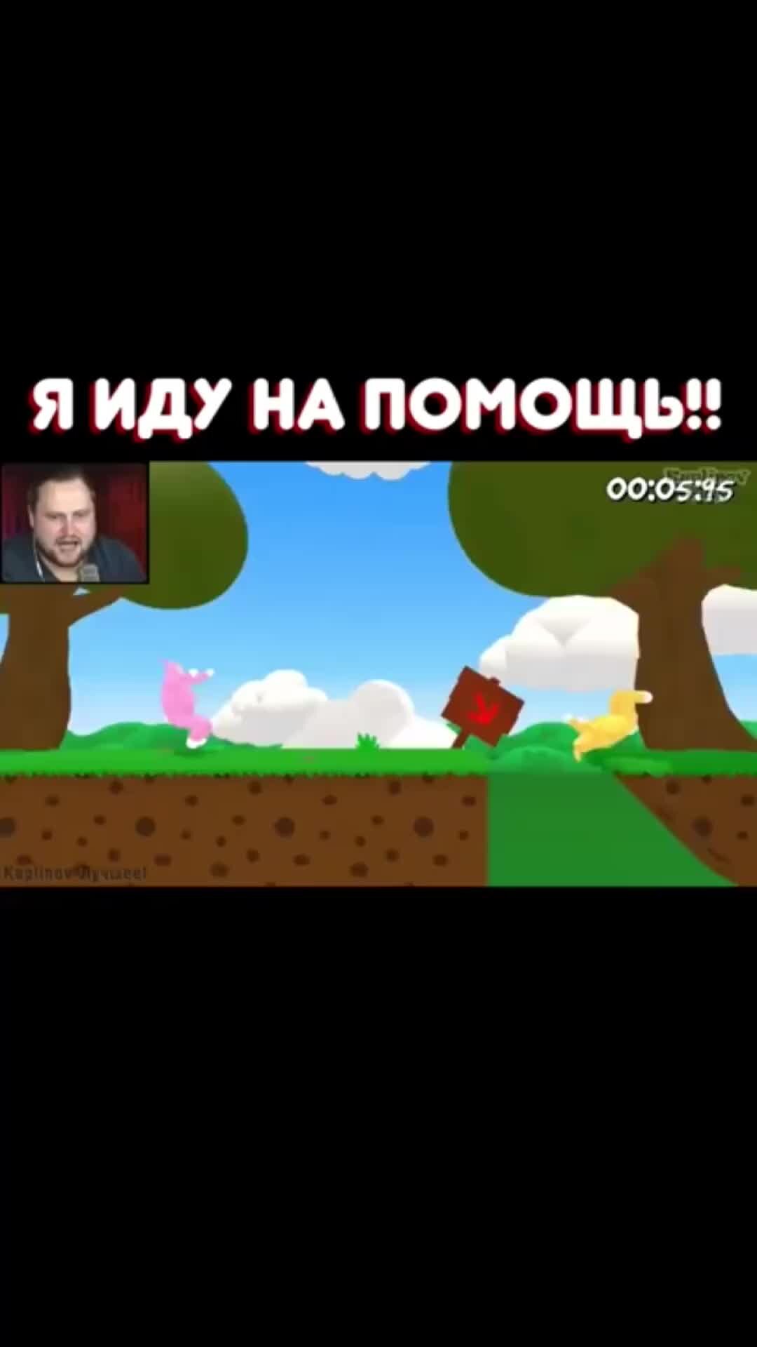 Наушники для девушек. Музыкальный ансамбль. Рингтон на будильник прикольные. Собака поет. Музыкальные приколы картинки.