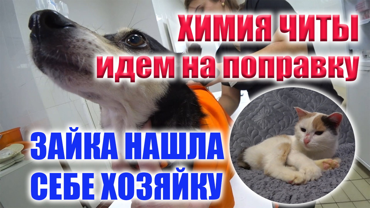 как отправить пустой комментарий в лайке