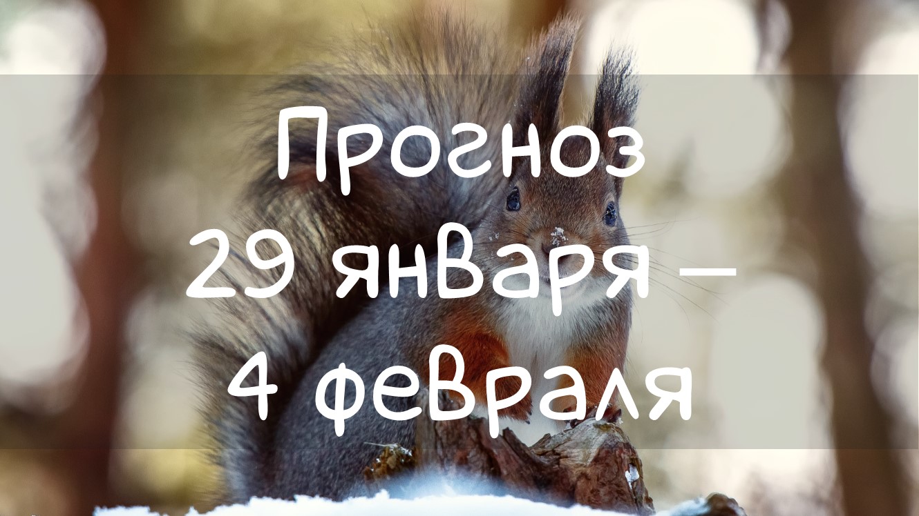 Как сделать так чтобы лайки в вк не видели друзья. Как сделать чтобы друзья не видели. Видно ли лайки скрытых друзей вконтакте. Как сделать чтоб лайки не видели. Скрыть лайки в вк.
