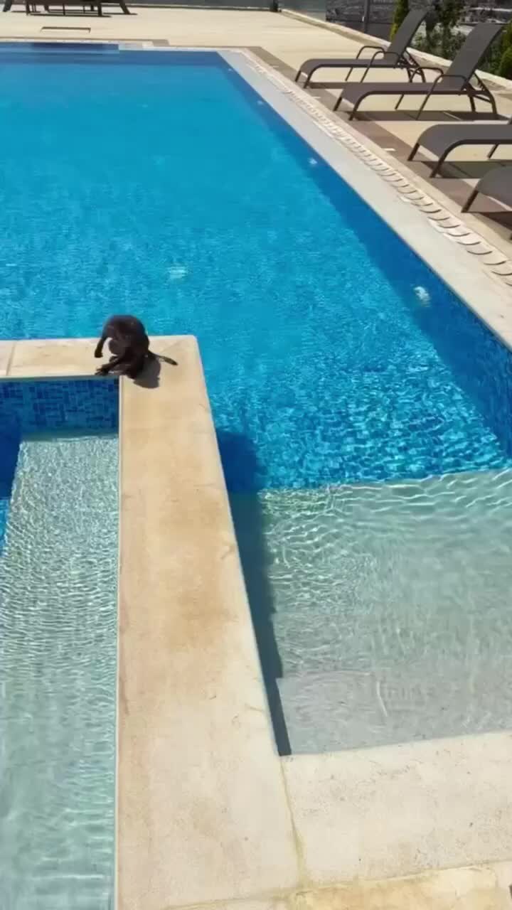Брызги в бассейне. Swimming pool with people. Ныряние в бассейне. Когда купаются в бассейне. Девушка купается в бассейне.