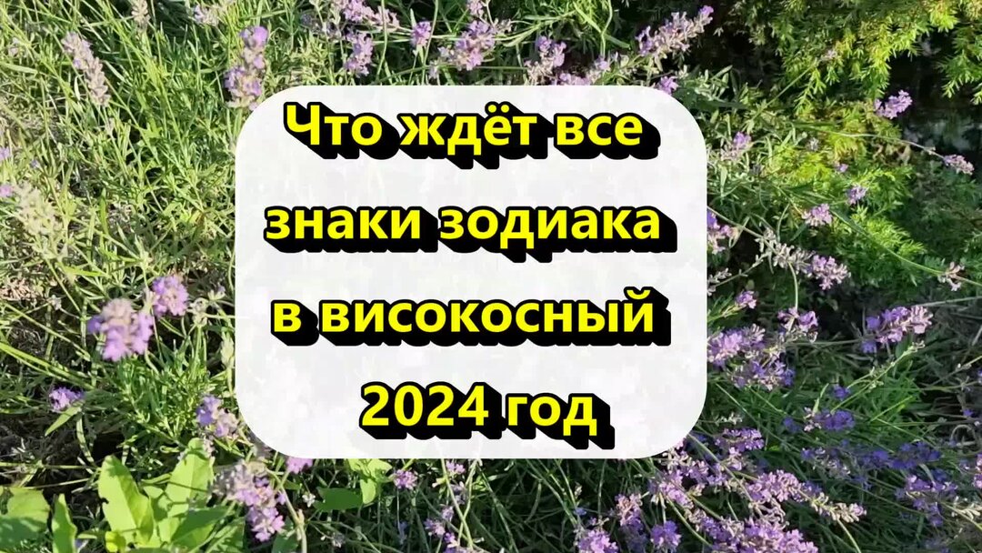 високосные года с 1950 по 2024 список