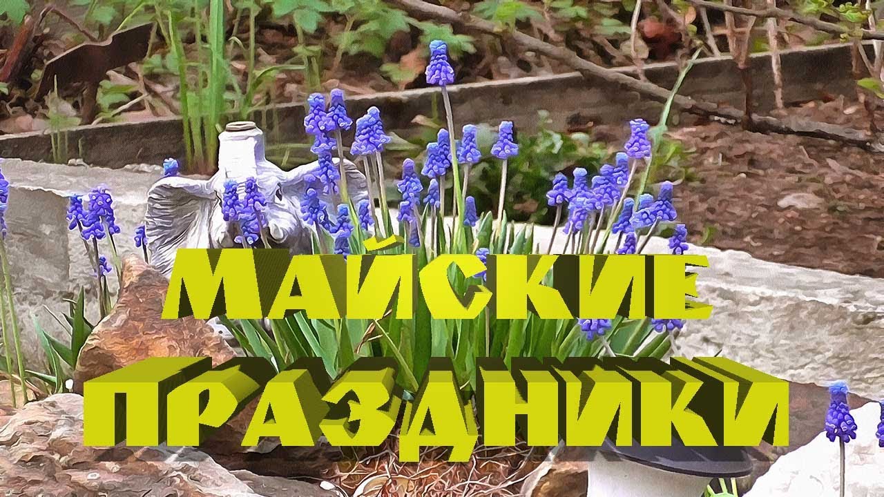 Майские праздники
