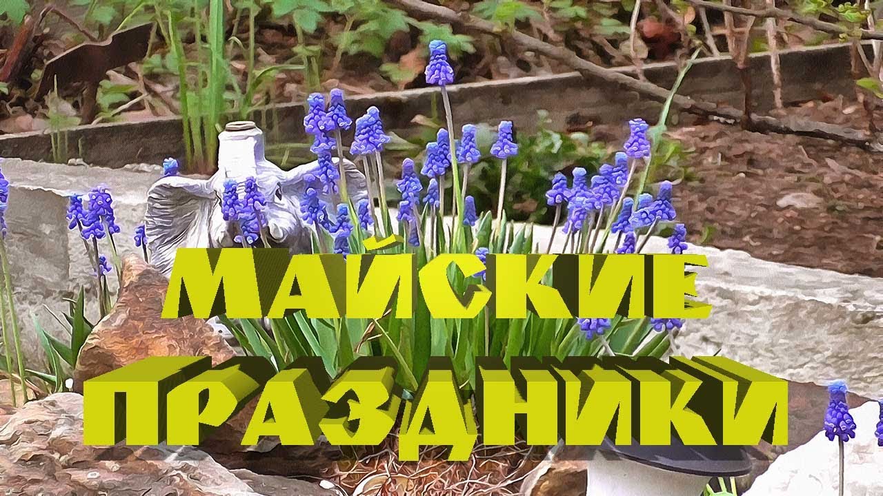 Майские праздники