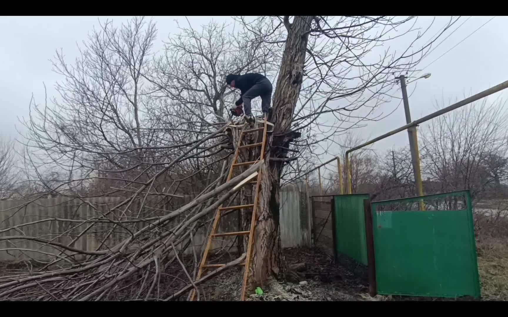 Пи ля. Пи ля
