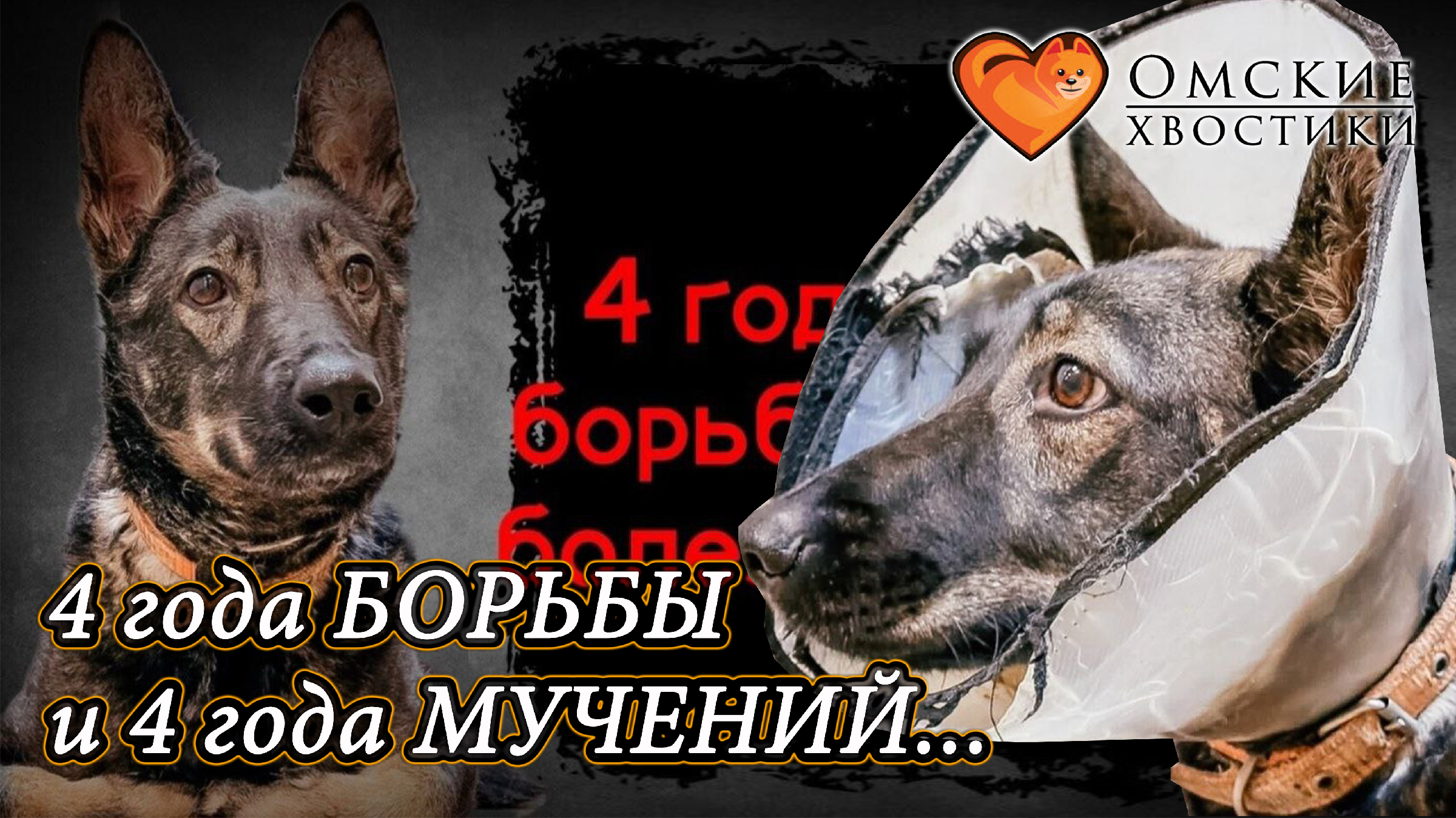 4 с хвостиком телефон