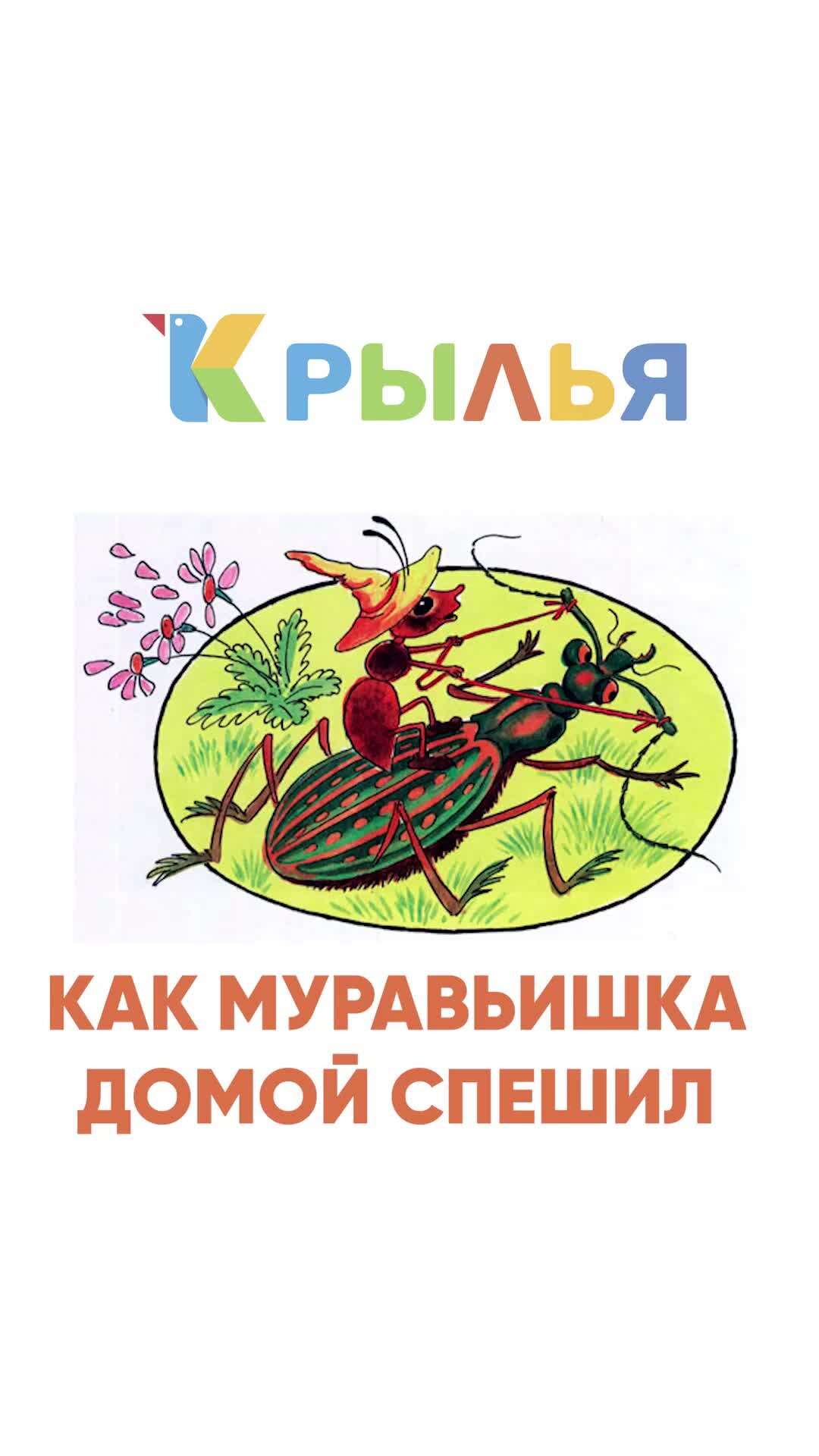 Детский сад "Крылья" | Мы с ребятами открыли удивительный мир сказки В ...