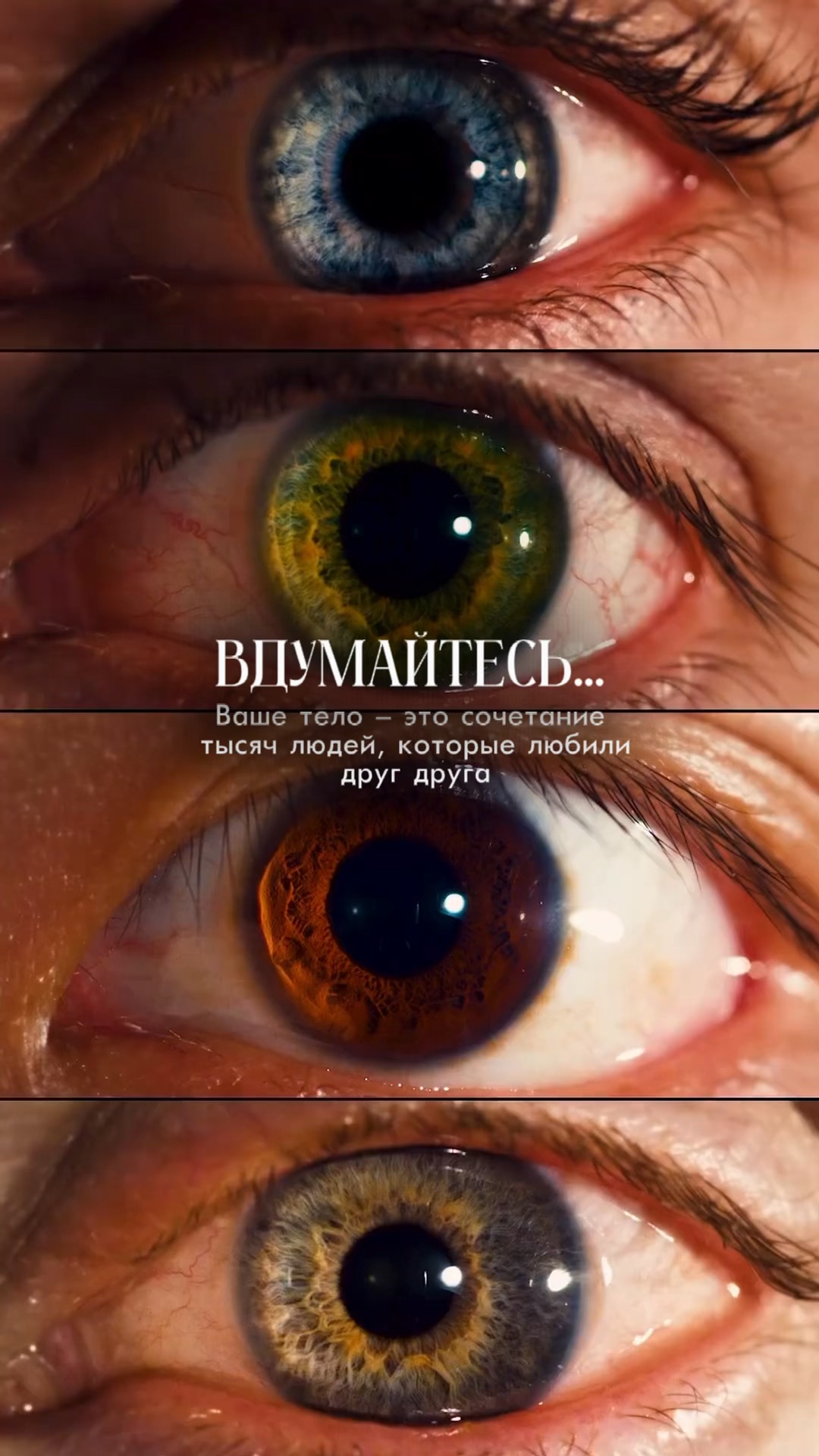 Слова мужского женского и среднего рода. Пароль какого рода. Имена существительные род. Род имен существительных. Пароль какого рода.