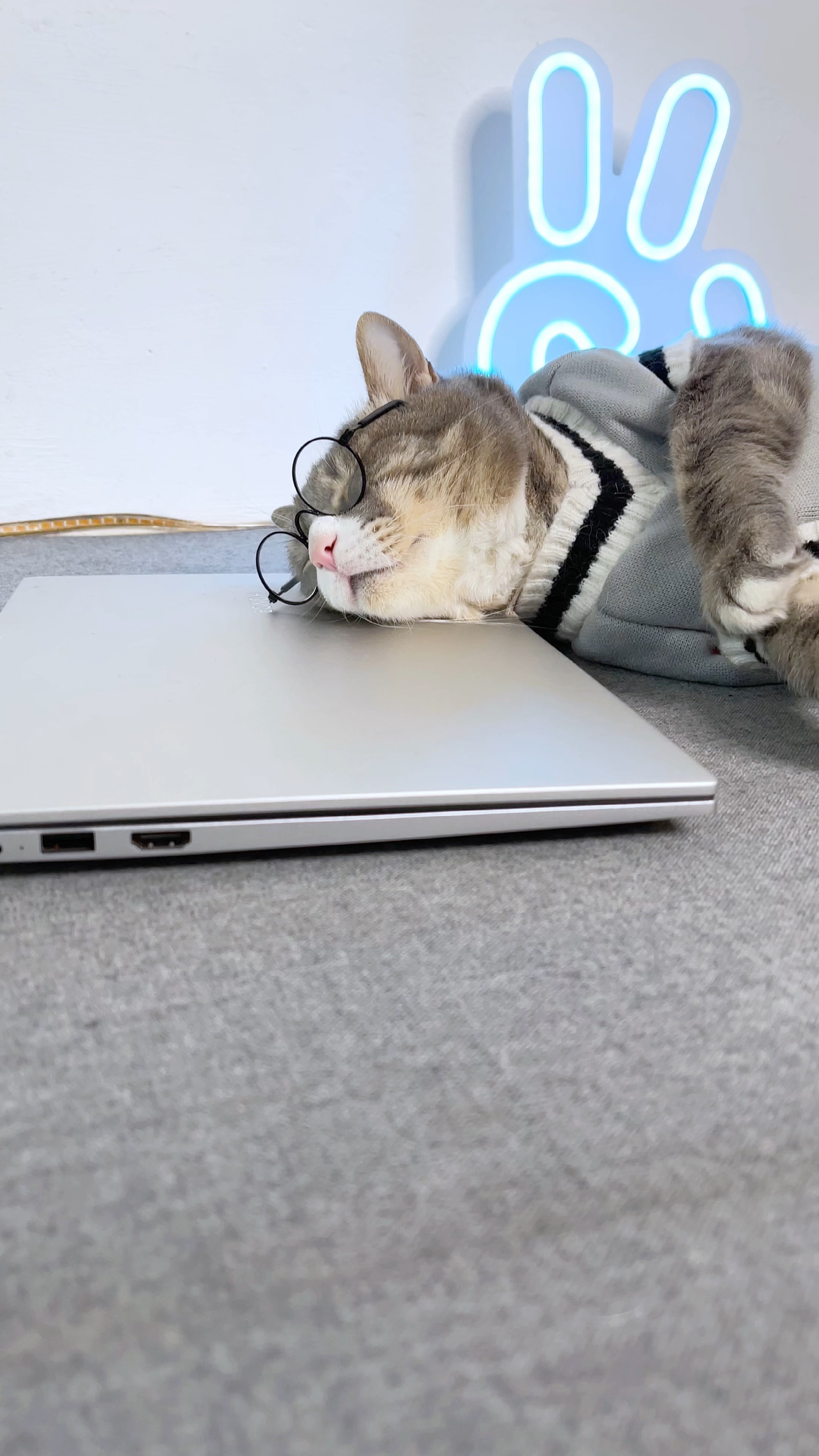 картинки не могу устала. собака устала. спать охота. как я устала. очень устала.