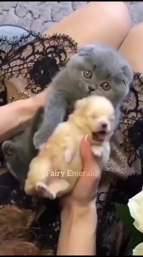 Сельская жизнь сухобузимского. Каптырево фото. Сельская жизнь газета сухобузимского района. Каптырево фото. Деревня подпорог сухобузимский район.