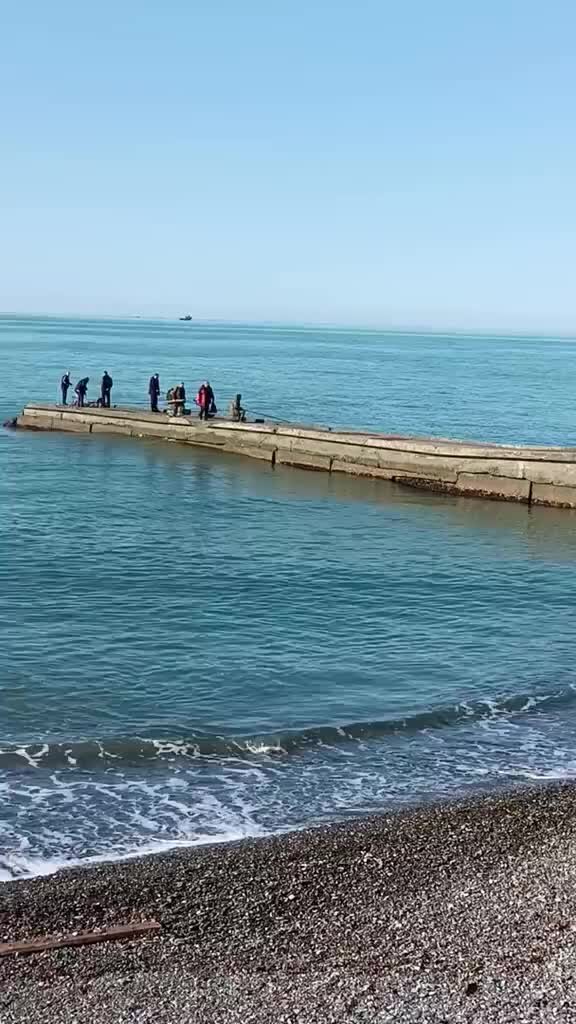 Отзывы о гостевом доме Да Винчи, Адлер, Сочи