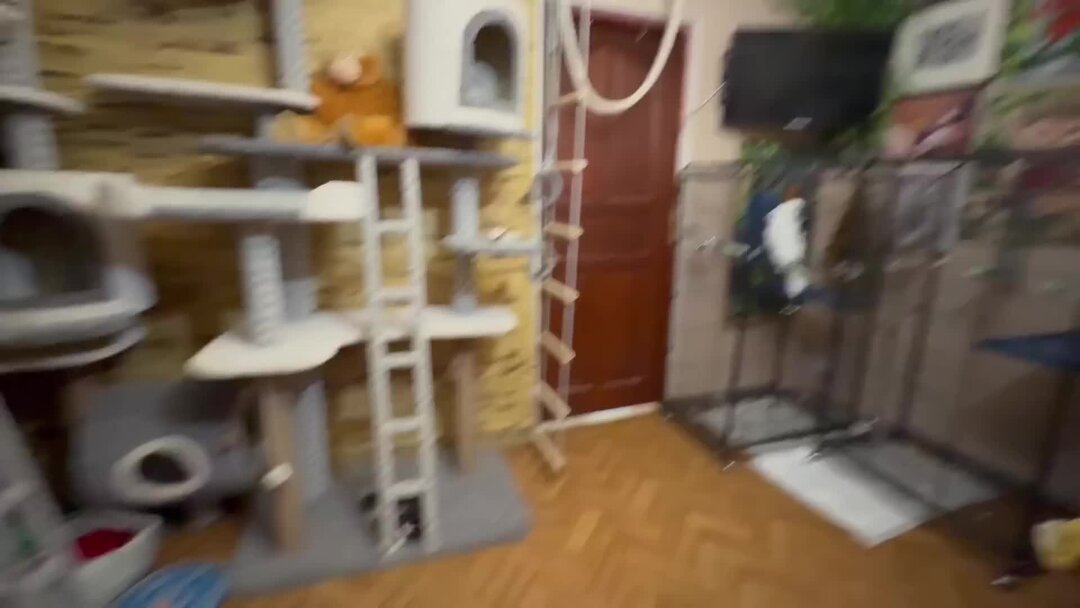 Спортсмен может быть уведомлен