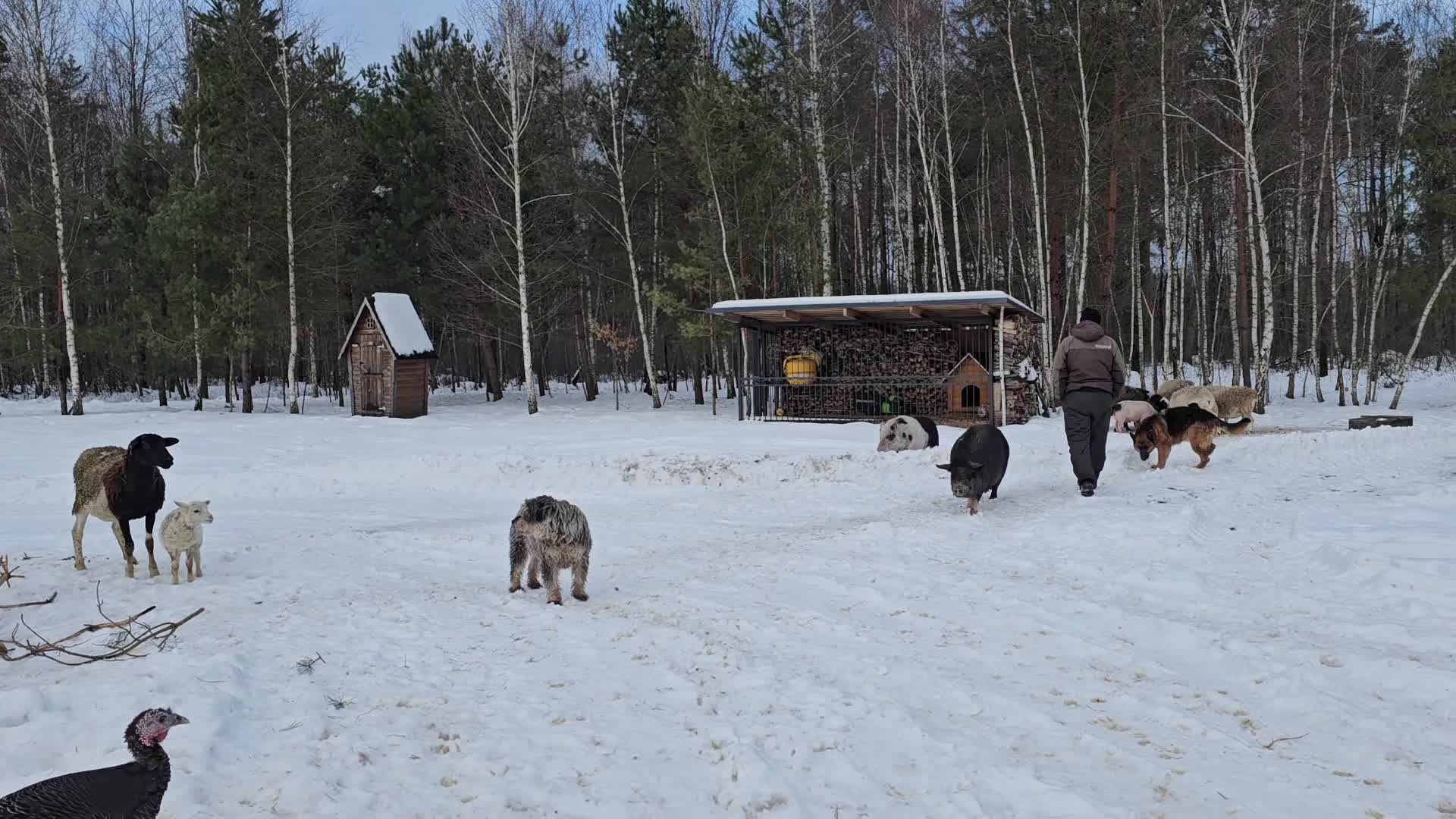 Черничный хутор последнее новое видео 2024 года