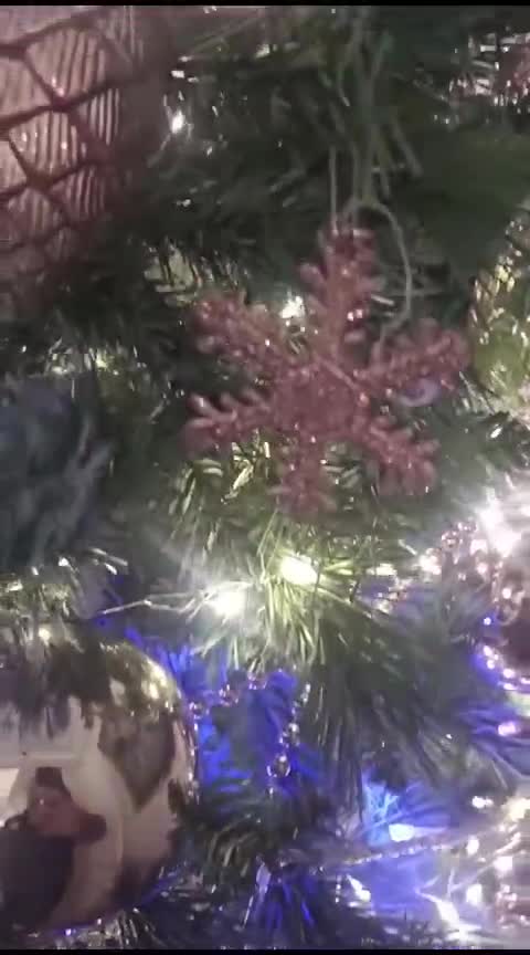 стоит чудесный зимний денек. синички диктант 3. диктант синички. диктант синицы. окно осень.