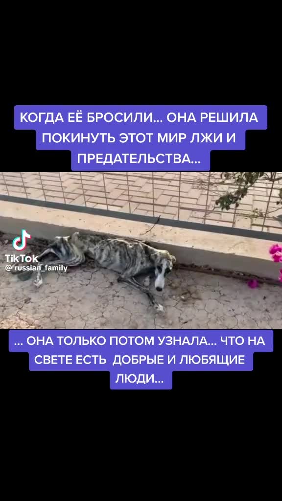 Бог есть не дай бог