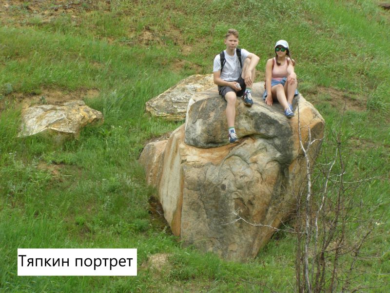 Камера лебедянь в реальном