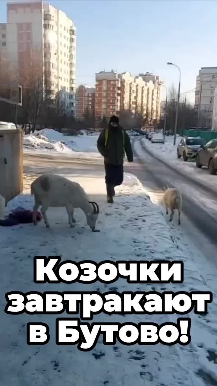 Работа в южном бутово