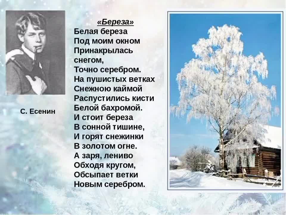 Метафора белая береза есенин. Стихотворение есенина белая береза под моим окном текст. сергей есенин белая береза. стихотворение есенина белая береза. стих есенина белая берёза под моим окном.
