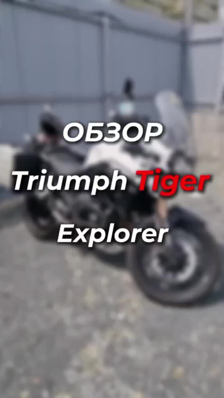 АВТО ИЗ ЯПОНИИ, КОРЕИ, КИТАЯ. МОТОЦИКЛЫ | ЯПОНИЯ-ТРЕЙД | 🐅ТИГР ИЗ ЯПОНИИ -  TRIUMPH TIGER EXPLORER! 🤝Привезли его для нашего клиента! Подробности в  видео📲Хочешь такой же? Пиши нам! #мотоциклы | Дзен