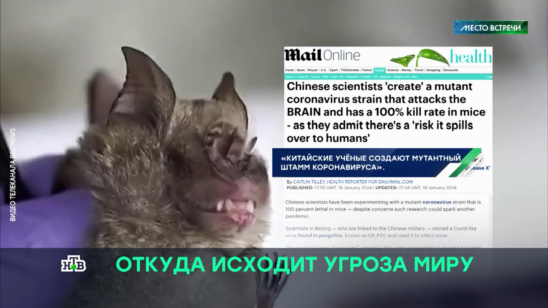 как стать учёным в картинках. как люди становятся учеными. могу ли стать ученым. могу ли стать ученым. учёные по слепоглухонемым.