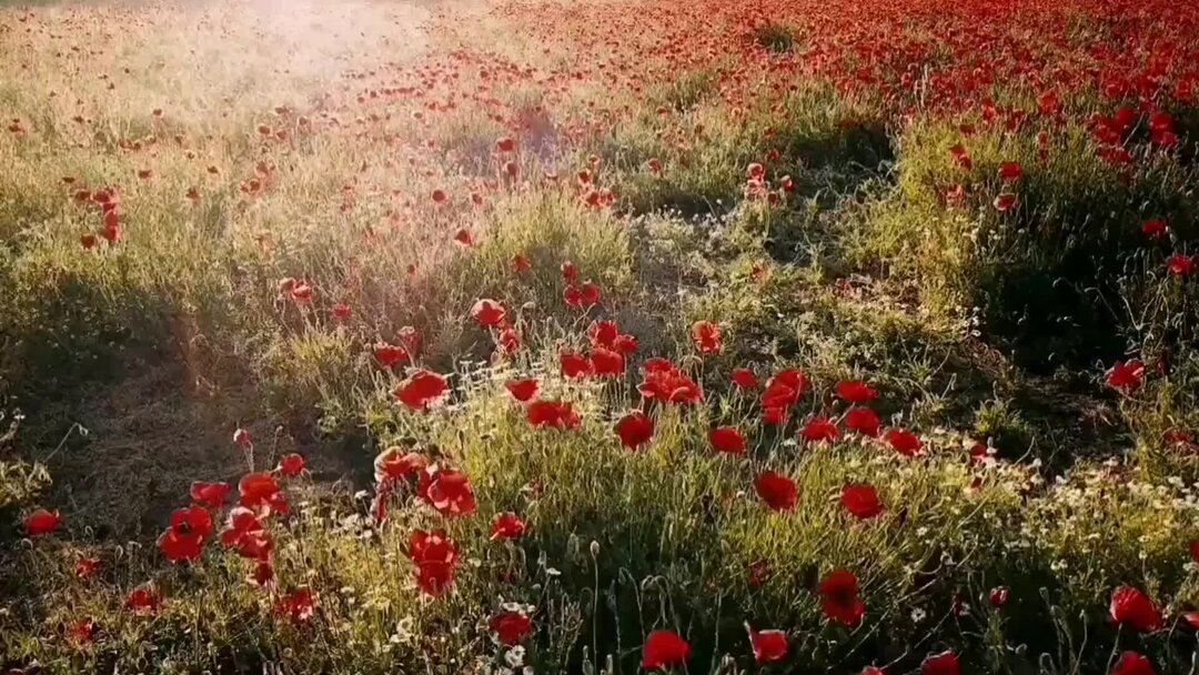 Атмосферное давление на завтра. Прогноз погоды на 22 декабря. Прогноз в инте на 10 дней. Прогноз в инте на 10 дней. Погода на сегодня.