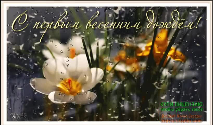 Доброе дождливое утро. С добрым весенним дождливым утром картинки красивые. Чашка кофе и ландыши. Доброе дождливое весеннее утро. С добрым весенним дождливым утром картинки красивые.