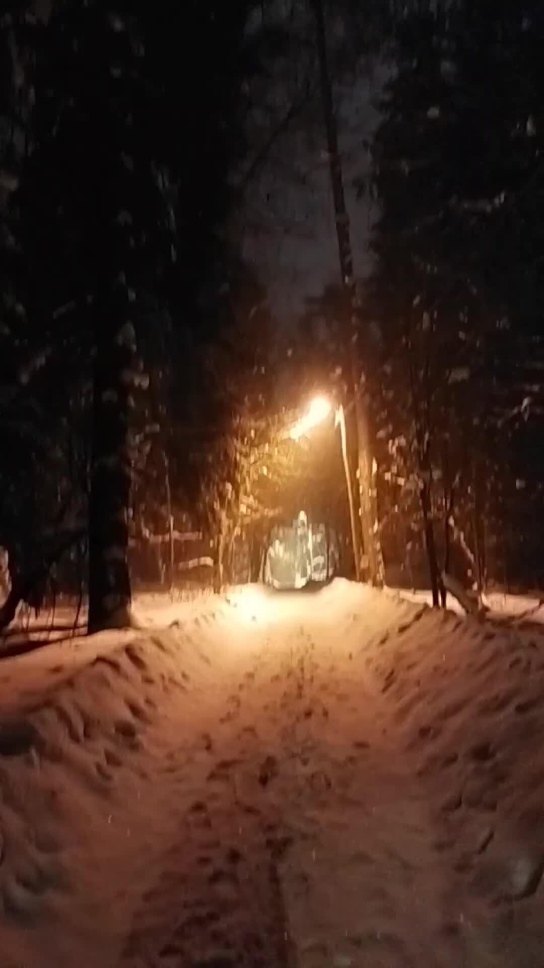 Вечер природа снег Вечер природа снег