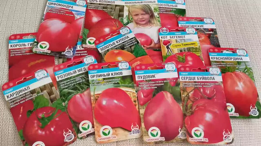 Каменск-уральский детский-сад 1. 95 садик каменск-уральский. Каменск-уральский детский-сад 5. Детский сад 3 корпус 1 каменск уральский. Каменск-уральский детский-сад 4.