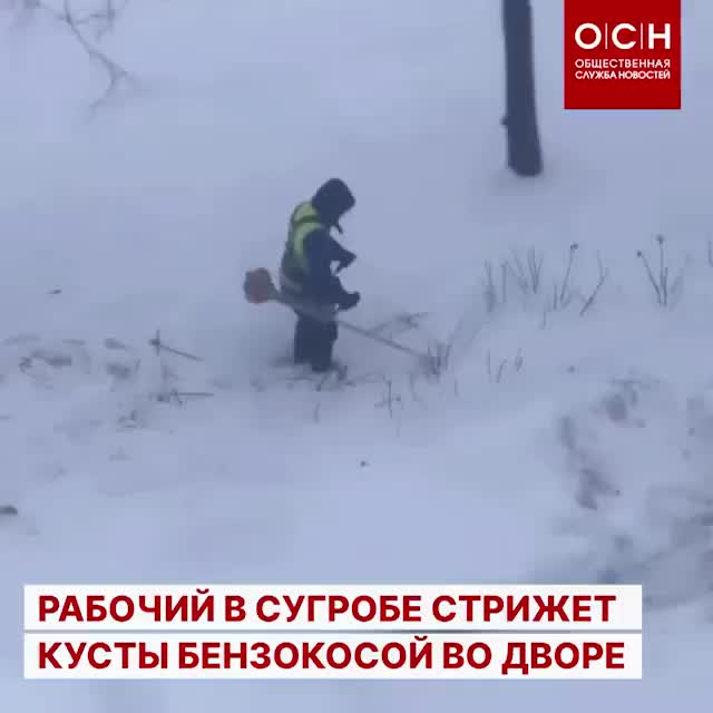 в государстве к проходят выборы в парламент. законодательную власть осуществляет. правительство ирана. представительских функций в международных отношениях. 4.