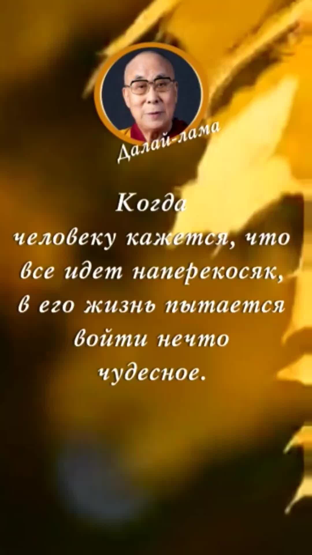 Только вперед цитаты. Фразы про путь. Идем со мной цитаты. Свой путь цитаты. Не иди за мной возможно я не поведу.