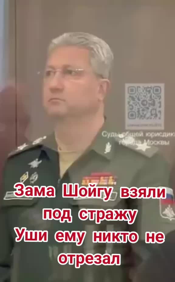 Арестованные замы шойгу