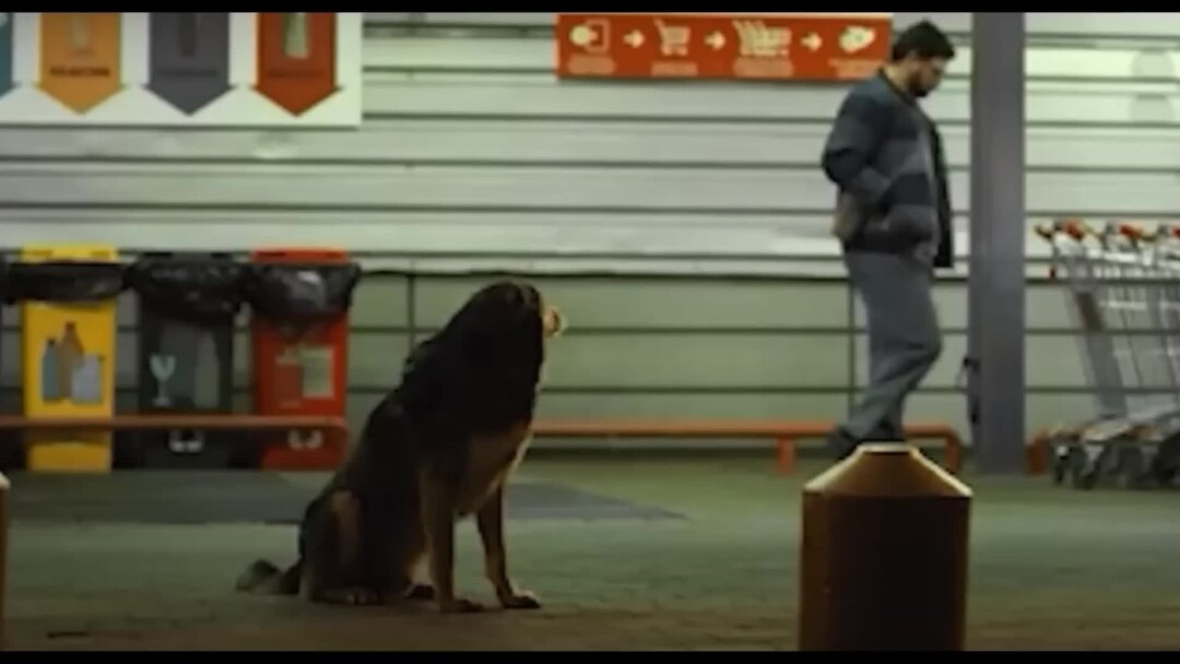 Иисус придет на землю второй раз. Иисус придет на землю второй раз. Пришествие иисуса христа. Второе пришествие иисуса христа на землю. Второе пришествие христа.